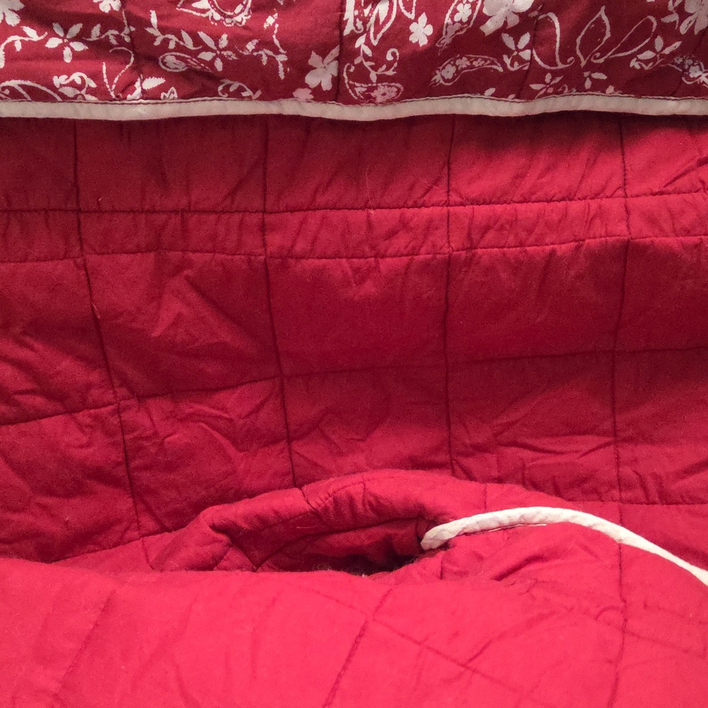Free People Red and White Bomber Jacket - Picture 7 of 10